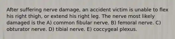 After suffering nerve damage, an accident victim is unable to flex his right thigh, or extend his right leg. The nerve most likely damaged is the A) common fibular nerve. B) femoral nerve. C) obturator nerve. D) tibial nerve. E) coccygeal plexus.