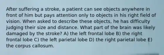 After suffering a stroke, a patient can see objects anywhere in front of him but pays attention only to objects in his right field of vision. When asked to describe these objects, he has difficulty judging their size and distance. What part of the brain was likely damaged by the stroke? A) the left frontal lobe B) the right frontal lobe C) the left parietal lobe D) the right parietal lobe E) the corpus callosum.