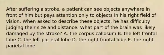 After suffering a stroke, a patient can see objects anywhere in front of him but pays attention only to objects in his right field of vision. When asked to describe these objects, he has difficulty judging their size and distance. What part of the brain was likely damaged by the stroke? A. the corpus callosum B. the left frontal lobe C. the left parietal lobe D. the right frontal lobe E. the right parietal lobe