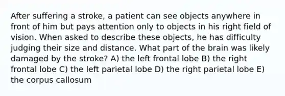 After suffering a stroke, a patient can see objects anywhere in front of him but pays attention only to objects in his right field of vision. When asked to describe these objects, he has difficulty judging their size and distance. What part of the brain was likely damaged by the stroke? A) the left frontal lobe B) the right frontal lobe C) the left parietal lobe D) the right parietal lobe E) the corpus callosum