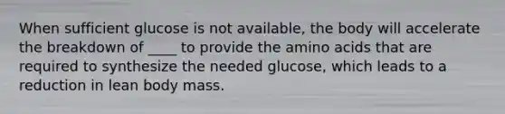 When sufficient glucose is not available, the body will accelerate the breakdown of ____ to provide the amino acids that are required to synthesize the needed glucose, which leads to a reduction in lean body mass.