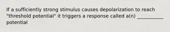 If a sufficiently strong stimulus causes depolarization to reach "threshold potential" it triggers a response called a(n) ___________ potential