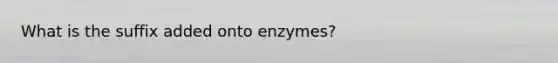 What is the suffix added onto enzymes?