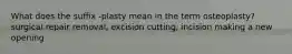 What does the suffix -plasty mean in the term osteoplasty? surgical repair removal, excision cutting, incision making a new opening