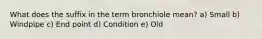 What does the suffix in the term bronchiole mean? a) Small b) Windpipe c) End point d) Condition e) Old