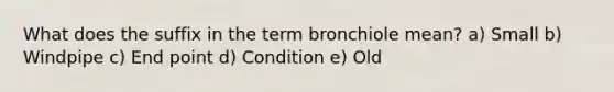 What does the suffix in the term bronchiole mean? a) Small b) Windpipe c) End point d) Condition e) Old