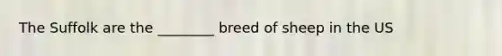 The Suffolk are the ________ breed of sheep in the US