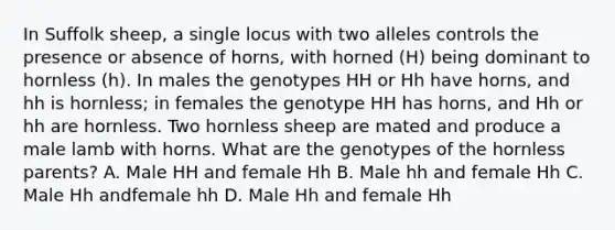 In Suffolk sheep, a single locus with two alleles controls the presence or absence of horns, with horned (H) being dominant to hornless (h). In males the genotypes HH or Hh have horns, and hh is hornless; in females the genotype HH has horns, and Hh or hh are hornless. Two hornless sheep are mated and produce a male lamb with horns. What are the genotypes of the hornless parents? A. Male HH and female Hh B. Male hh and female Hh C. Male Hh andfemale hh D. Male Hh and female Hh