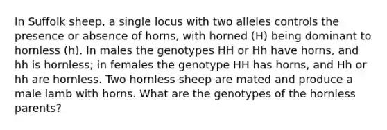 In Suffolk sheep, a single locus with two alleles controls the presence or absence of horns, with horned (H) being dominant to hornless (h). In males the genotypes HH or Hh have horns, and hh is hornless; in females the genotype HH has horns, and Hh or hh are hornless. Two hornless sheep are mated and produce a male lamb with horns. What are the genotypes of the hornless parents?