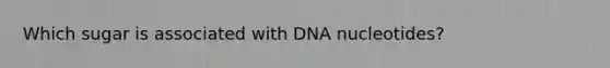 Which sugar is associated with DNA nucleotides?