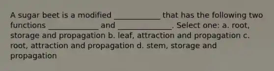 A sugar beet is a modified ____________ that has the following two functions _____________ and ______________. Select one: a. root, storage and propagation b. leaf, attraction and propagation c. root, attraction and propagation d. stem, storage and propagation