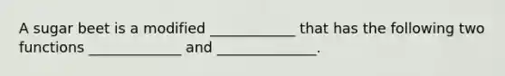 A sugar beet is a modified ____________ that has the following two functions _____________ and ______________.
