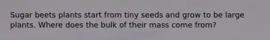 Sugar beets plants start from tiny seeds and grow to be large plants. Where does the bulk of their mass come from?