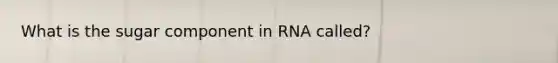 What is the sugar component in RNA called?