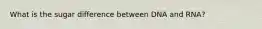 What is the sugar difference between DNA and RNA?