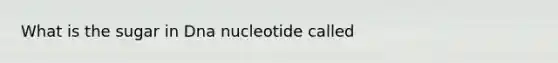 What is the sugar in Dna nucleotide called