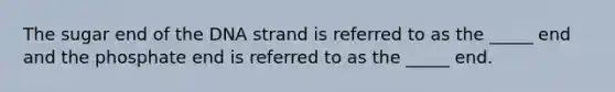 The sugar end of the DNA strand is referred to as the _____ end and the phosphate end is referred to as the _____ end.