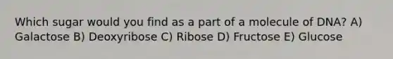 Which sugar would you find as a part of a molecule of DNA? A) Galactose B) Deoxyribose C) Ribose D) Fructose E) Glucose