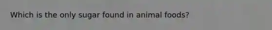 Which is the only sugar found in animal foods?