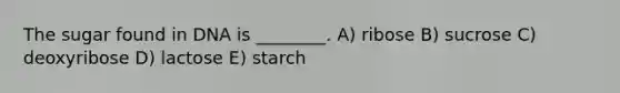 The sugar found in DNA is ________. A) ribose B) sucrose C) deoxyribose D) lactose E) starch