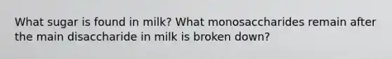 What sugar is found in milk? What monosaccharides remain after the main disaccharide in milk is broken down?