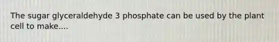 The sugar glyceraldehyde 3 phosphate can be used by the plant cell to make....