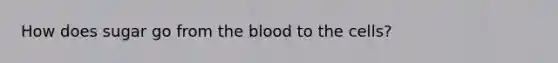 How does sugar go from <a href='https://www.questionai.com/knowledge/k7oXMfj7lk-the-blood' class='anchor-knowledge'>the blood</a> to the cells?