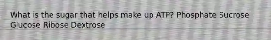 What is the sugar that helps make up ATP? Phosphate Sucrose Glucose Ribose Dextrose