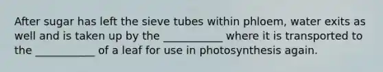 After sugar has left the sieve tubes within phloem, water exits as well and is taken up by the ___________ where it is transported to the ___________ of a leaf for use in photosynthesis again.