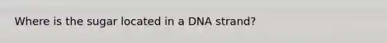 Where is the sugar located in a DNA strand?