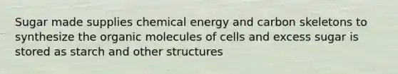 Sugar made supplies chemical energy and carbon skeletons to synthesize the <a href='https://www.questionai.com/knowledge/kjUwUacPFG-organic-molecules' class='anchor-knowledge'>organic molecules</a> of cells and excess sugar is stored as starch and other structures