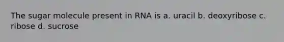 The sugar molecule present in RNA is a. uracil b. deoxyribose c. ribose d. sucrose