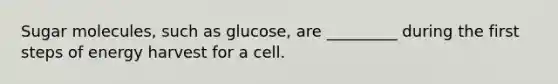 Sugar molecules, such as glucose, are _________ during the first steps of energy harvest for a cell.