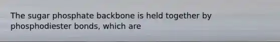 The sugar phosphate backbone is held together by phosphodiester bonds, which are