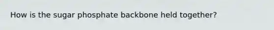 How is the sugar phosphate backbone held together?