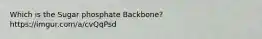 Which is the Sugar phosphate Backbone? https://imgur.com/a/cvQqPsd