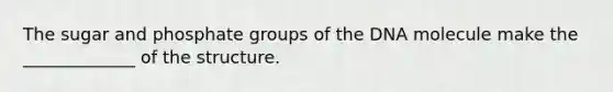 The sugar and phosphate groups of the DNA molecule make the _____________ of the structure.