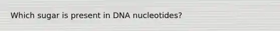 Which sugar is present in DNA nucleotides?