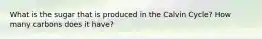 What is the sugar that is produced in the Calvin Cycle? How many carbons does it have?