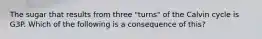 The sugar that results from three "turns" of the Calvin cycle is G3P. Which of the following is a consequence of this?