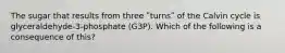 The sugar that results from three ʺturnsʺ of the Calvin cycle is glyceraldehyde-3-phosphate (G3P). Which of the following is a consequence of this?