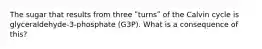 The sugar that results from three ʺturnsʺ of the Calvin cycle is glyceraldehyde-3-phosphate (G3P). What is a consequence of this?
