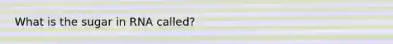 What is the sugar in RNA called?