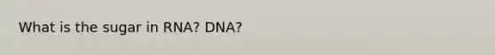 What is the sugar in RNA? DNA?