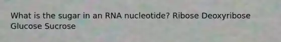 What is the sugar in an RNA nucleotide? Ribose Deoxyribose Glucose Sucrose