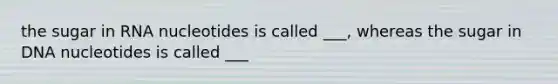 the sugar in RNA nucleotides is called ___, whereas the sugar in DNA nucleotides is called ___