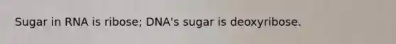 Sugar in RNA is ribose; DNA's sugar is deoxyribose.