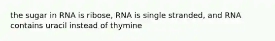 the sugar in RNA is ribose, RNA is single stranded, and RNA contains uracil instead of thymine