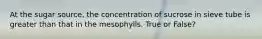 At the sugar source, the concentration of sucrose in sieve tube is greater than that in the mesophylls. True or False?