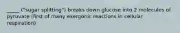 _____ ("sugar splitting") breaks down glucose into 2 molecules of pyruvate (first of many exergonic reactions in cellular respiration)